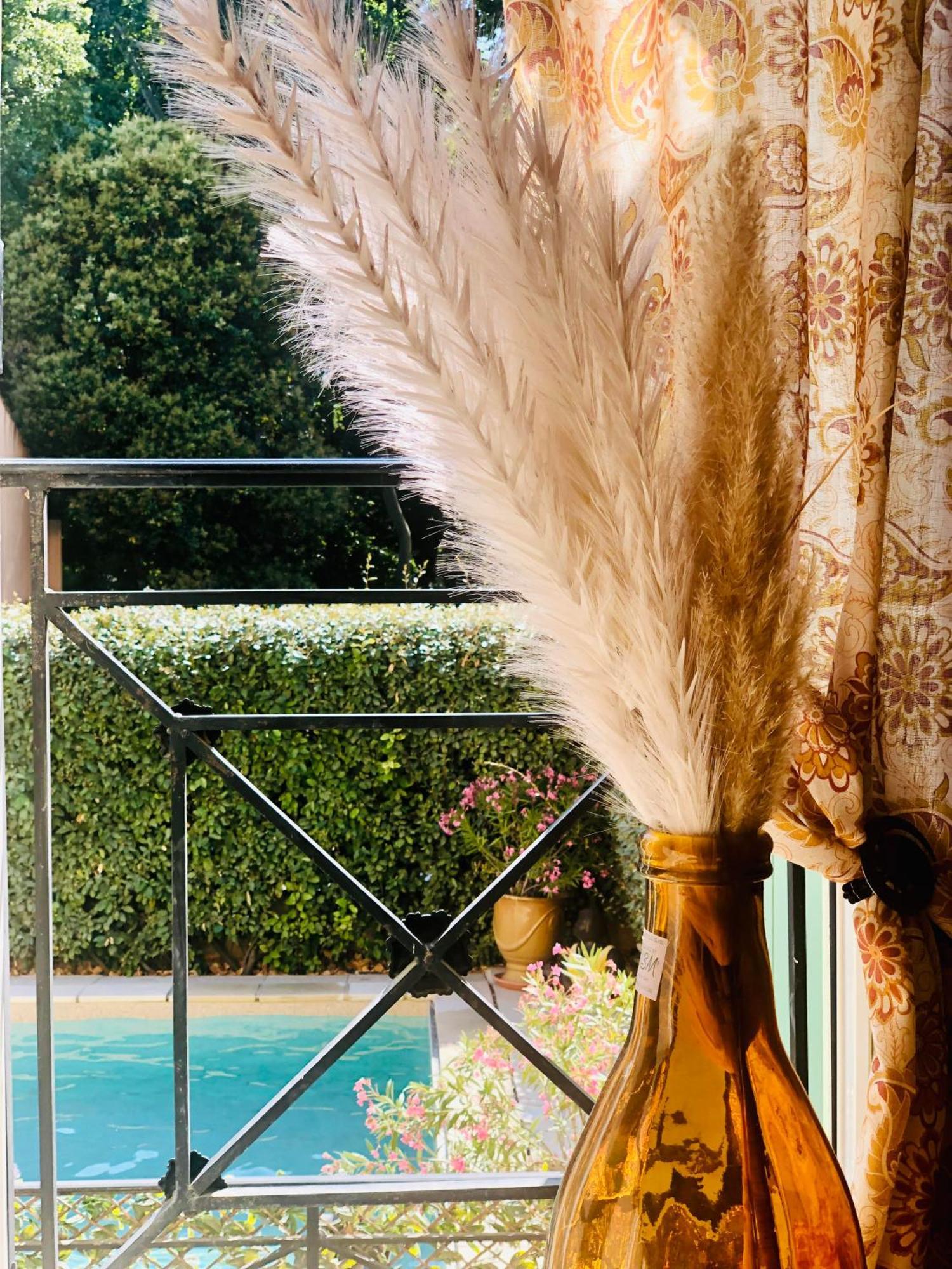 Logis Hotel Et Restaurant La Bastide Cabezac Bize-Minervois Luaran gambar